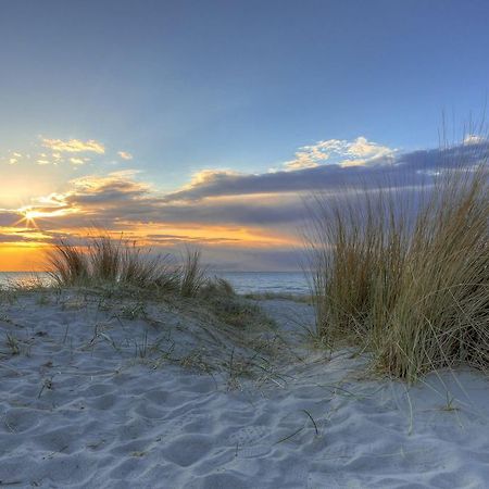 Urlaub Im Wintergarten Rostock-Lichtenhagen-Dorf Lägenhet Exteriör bild